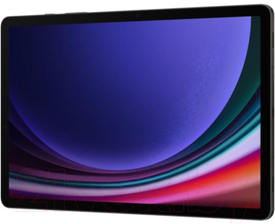 Планшет Samsung Galaxy Tab S9 Wi-Fi 12GB/256GB / SM-X710 (серый)