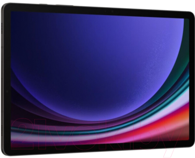 Планшет Samsung Galaxy Tab S9 5G 8GB/128GB / SM-X716 (серый)