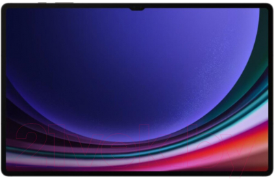 Планшет Samsung Galaxy Tab S9 Ultra Wi-Fi 12GB/512GB / SM-X910 (серый)