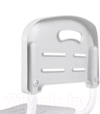 Парта+стул Anatomica Litra с ящиком, светильником и подставкой (белый/серый)