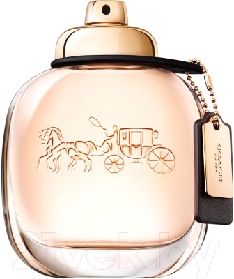 Туалетная вода Coach New York New York Coach (90мл)