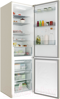 Холодильник с морозильником Candy CCRN 6200C