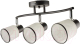 Потолочный светильник Mirastyle BL-14854/3 BK+CR - 