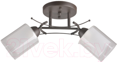 Изображение товара Потолочный светильник Mirastyle BL-2354/2 SKF
