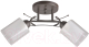 Миниатюра изображения товара Потолочный светильник Mirastyle BL-2354/2 SKF