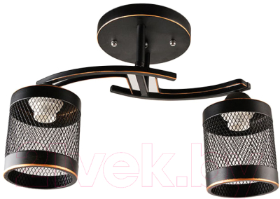 Изображение товара Потолочный светильник Mirastyle BL-2530/2 BKG