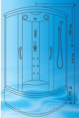 Душевая кабина Водный мир ВМ-8819 120x120 (черный/тонированное стекло)