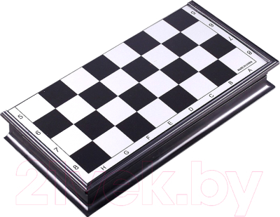 Набор настольных игр Darvish 3 в 1. Шахматы, шашки, нарды / SR-T-2061