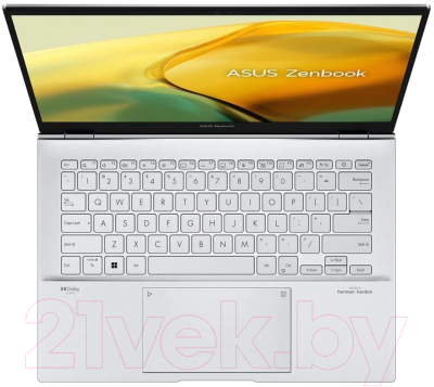 Ноутбук Asus Zenbook 14 UX3402VA-KP309