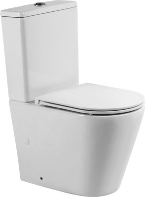 Купить Унитаз напольный BelBagno BB2149CP-TOR/BB2149T/BB2031SC  