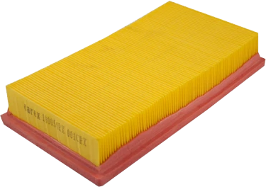 

Воздушный фильтр, 100054RX