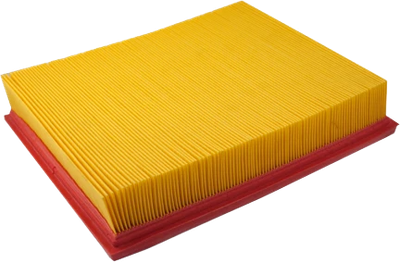 

Воздушный фильтр, 100070RX