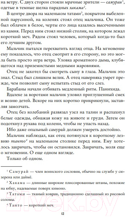Художественная книга Like Book Пламя в тумане (Ахдие Р.) — фото 3