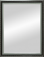 

Зеркало, Монако 60x74