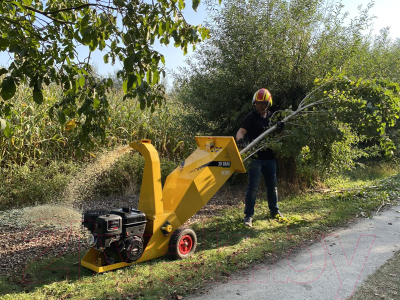 Садовый измельчитель Jo Beau M250 / 002295