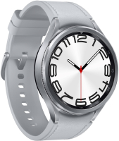 Умные часы Samsung Galaxy Watch 6 Classic 47mm / SM-R960 (серебристый) - 
