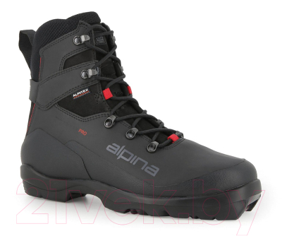 Ботинки для беговых лыж Alpina Sports 2023-24 Tr Pro / 539S1 (р.43, черный)
