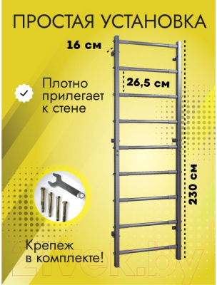 Шведская стенка Romana 11.05.07 (черный)