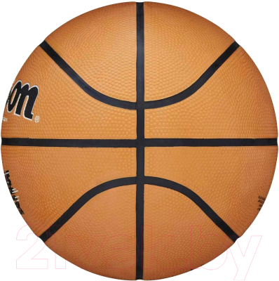 Баскетбольный мяч Wilson Gambreaker / WTB0050XB07 (размер 7)