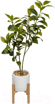 Искусственное растение Вещицы Дерево в цементном горшке Mia8