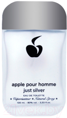 Туалетная вода Apple Parfums Just Silver (100мл)