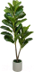 Искусственное растение Вещицы Фикус в цементном горшке Mia2 - 