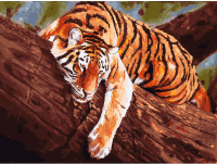 Картина по номерам БЕЛОСНЕЖКА Тигр на дереве / 364-AS - 
