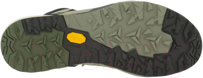 Трекинговые ботинки Asolo Falcon Evo GV ML Dry / A40063-B112 (р. 8.5, Weeds/Aqua Green)