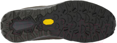 Трекинговые кроссовки Asolo Space GV MM / A40504_A551 (р-р 8, темно-коричневый)
