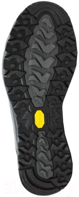 Трекинговые кроссовки Asolo Hiking Nucleon GV / A40013-A772 (р-р 5.5, графитовый/серебристый/голубой)