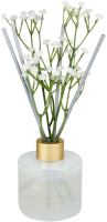 

Аромадиффузор, Reed Diffuser Amber & Tuberose / 8947