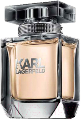 Парфюмерная вода Karl Lagerfeld For Women (25мл)