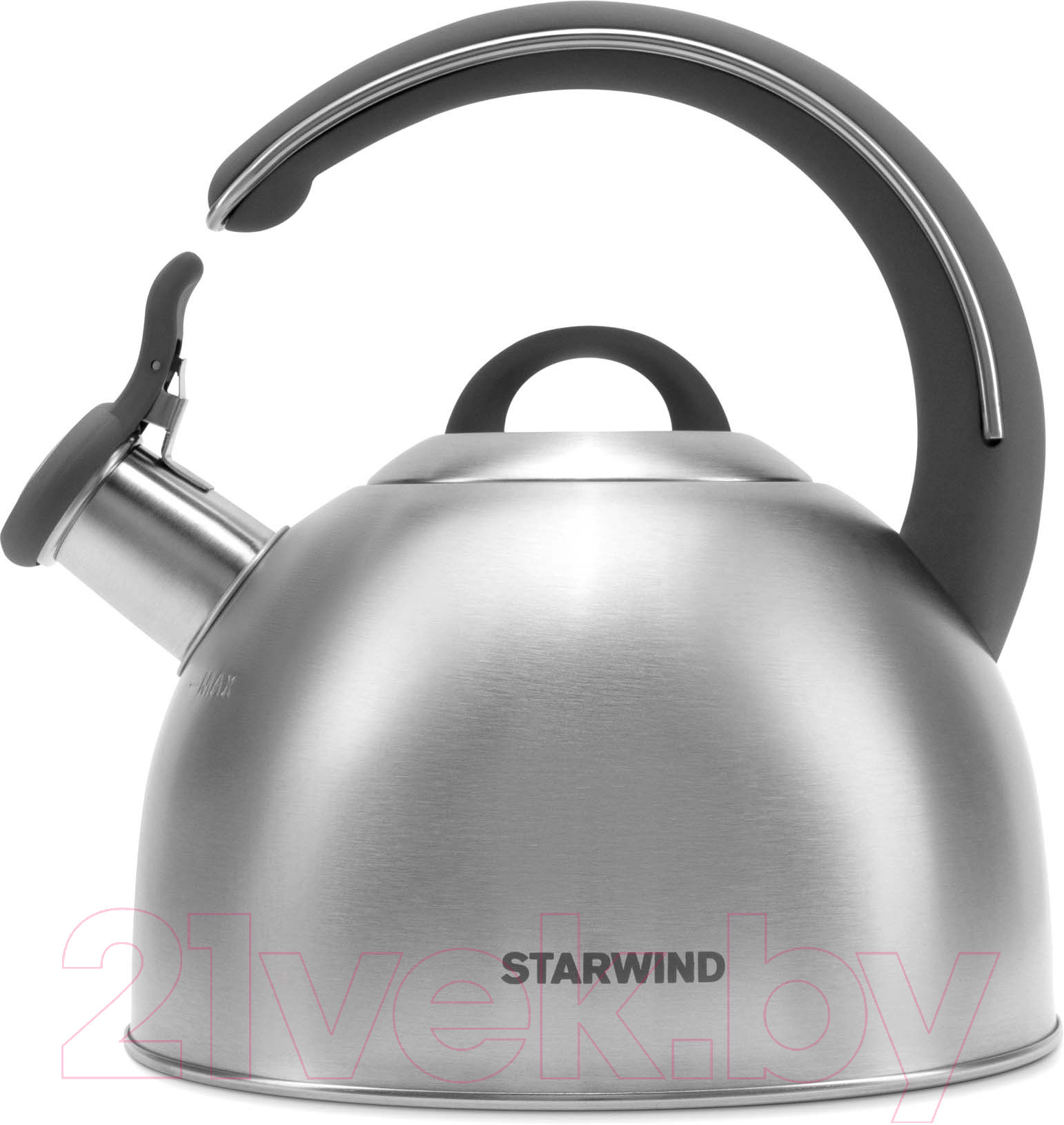 Чайник StarWind Chef Family SW-CH1106