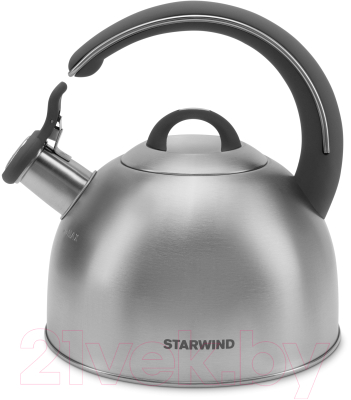 Чайник StarWind Chef Family SW-CH1106
