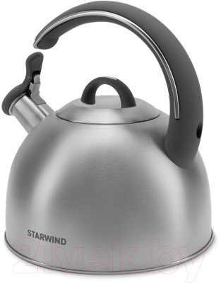 Чайник StarWind Chef Family SW-CH1106