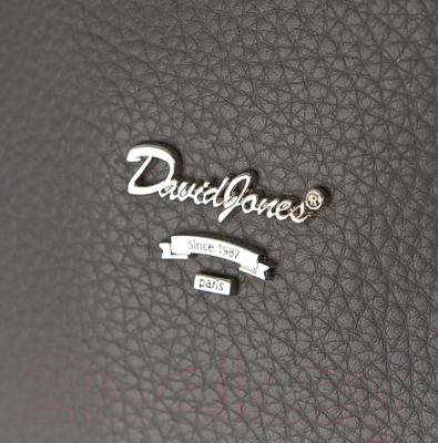 Рюкзак David Jones 823-CH21044E-GRY (серый)