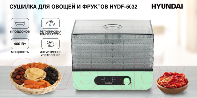 Сушилка для овощей и фруктов Hyundai HYDF-5032 (мятный)