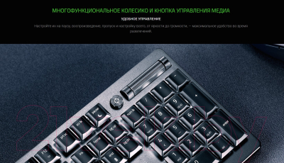 Клавиатура Razer DeathStalker V2 Pro / RZ03-04360800-R3R1