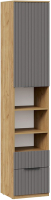 Шкаф-пенал ТриЯ Хилтон комбинированный с 1 дверью и 2 ящиками исп.2 (дуб крафт золотой/графит матовый) - 