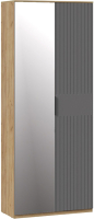 Шкаф ТриЯ Хилтон комбинированный с 2 дверьми исп.2.1 (дуб крафт золотой/графит матовый) - 