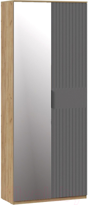 Шкаф ТриЯ Хилтон комбинированный с 2 дверьми исп.2.1 (дуб крафт золотой/графит матовый)