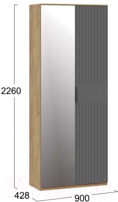 Шкаф ТриЯ Хилтон комбинированный с 2 дверьми исп.2.1 (дуб крафт золотой/графит матовый)