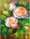 Картина по номерам БЕЛОСНЕЖКА Ноктюрн с розами / 539-AS - 