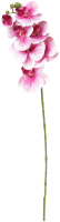 Искусственный цветок ForGarden Орхидея / BN10771 (розовый) - 