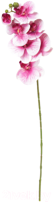 Искусственный цветок ForGarden Орхидея / BN10771 (розовый)
