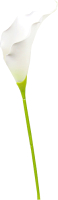 Искусственный цветок ForGarden Калла / BN10768 (белый) - 