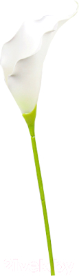 Искусственный цветок ForGarden Калла / BN10768 (белый)