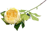Искусственный цветок ForGarden Пион / BN10772 (желтый/кремовый) - 
