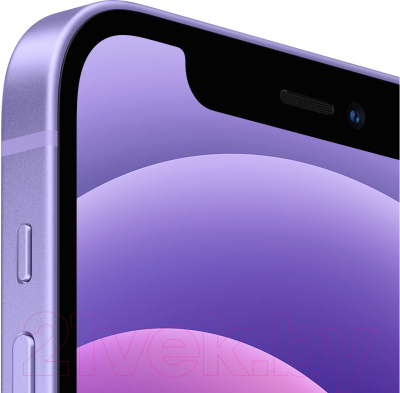 Смартфон Apple iPhone 12 64GB / 2CMJNM3 восстановленный Breezy Грейд C (фиолетовый)