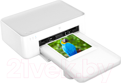 Принтер Xiaomi Instant Photo Printer 1S Set (BHR6747GL)